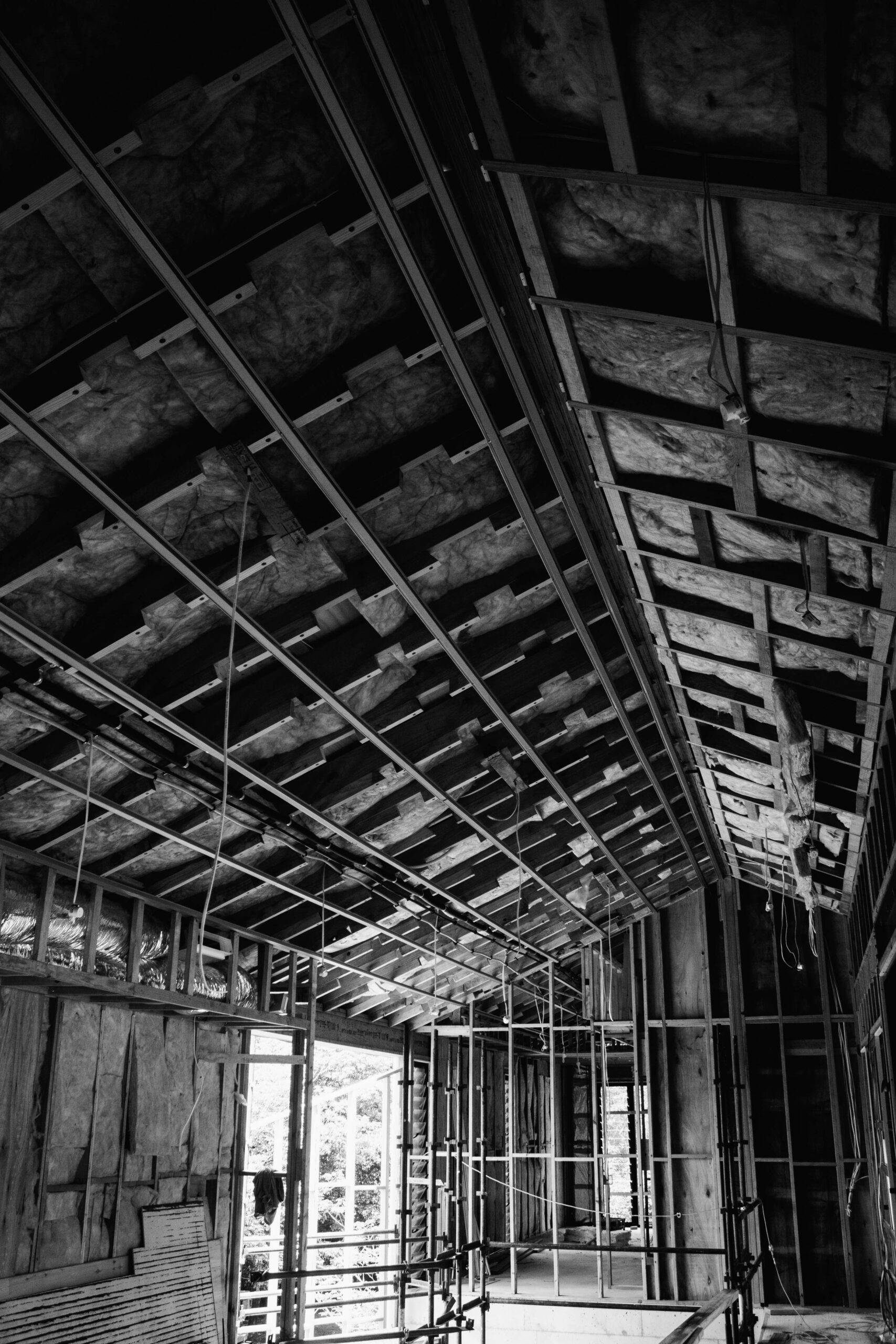 Fig Tree Pocket Modern House Flourish Architecture